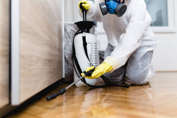 Best Local Pest Control Services  in Elmore, OH