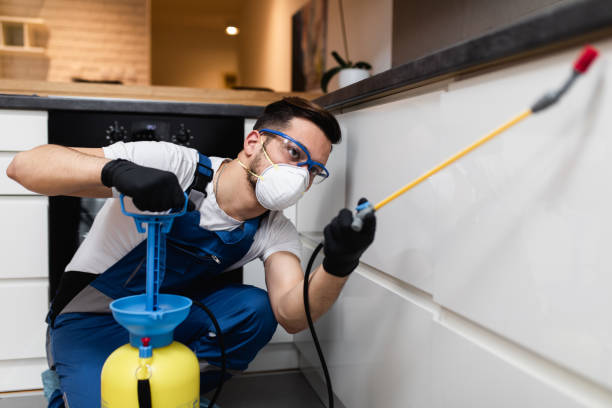 Best Termite Control Services  in Elmore, OH