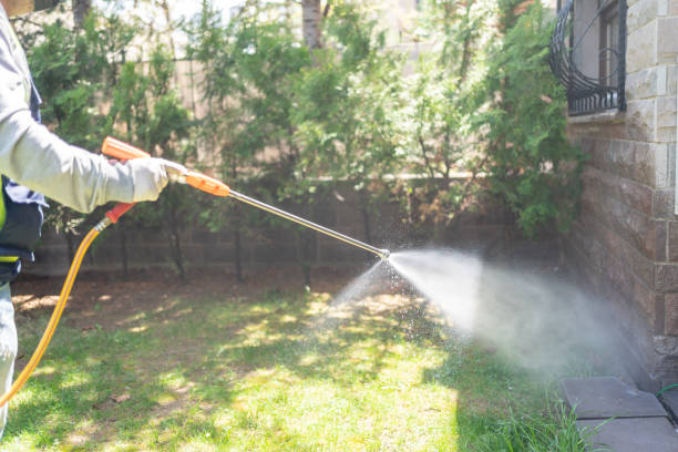 Best Pest Removal Services  in Elmore, OH