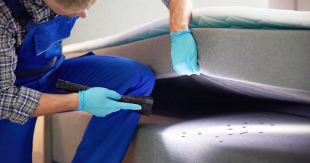 Best Local Pest Control Services  in Elmore, OH