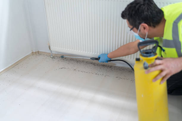 Best Wasp Removal Services  in Elmore, OH