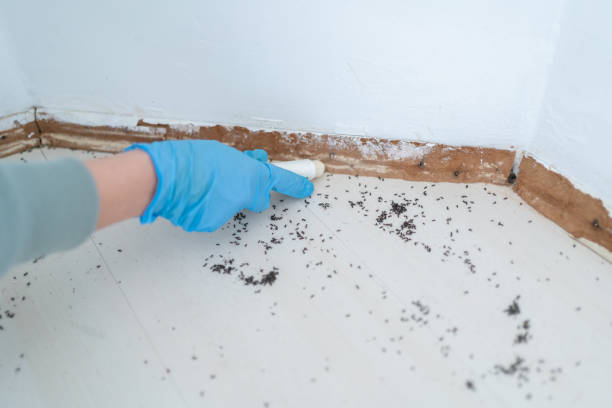 Elmore, OH Pest Control Company