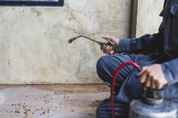 Pest Prevention Services in Elmore, OH